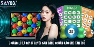 3 càng lô là gì