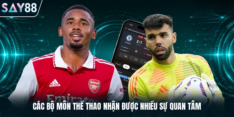 Các bộ môn thể thao nhận được nhiều sự quan tâm