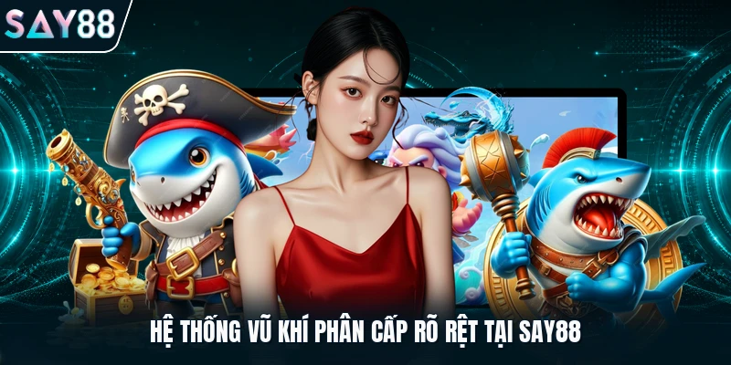Hệ thống vũ khí phân cấp rõ rệt tại Say88